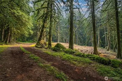 9267 Upper Frost Creek Road, Maple Falls, WA 98266 - Photo 29