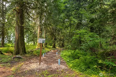 9267 Upper Frost Creek Road, Maple Falls, WA 98266 - Photo 33