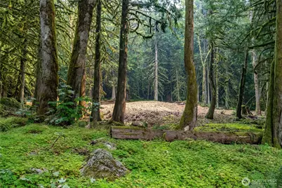 9267 Upper Frost Creek Road, Maple Falls, WA 98266 - Photo 25