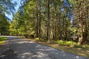 242 Evans Way, Friday Harbor, WA 98250 - Photo 29