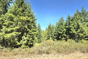 19710 146th Ave SE, Yelm, WA 98597 - Photo 1