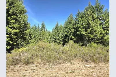 19710 146th Avenue SE, Yelm, WA 98597 - Photo 5