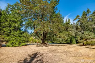 5443 Coles Rd, Langley, WA 98260 - Photo 19