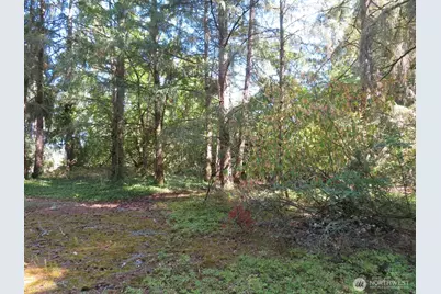 8021 Afflerbaugh Court SE, Lacey, WA 98503 - Photo 3