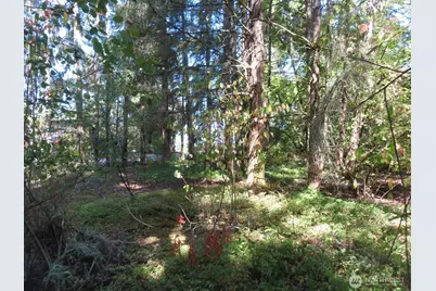 8021 Afflerbaugh Court SE, Lacey, WA 98503 - Photo 7
