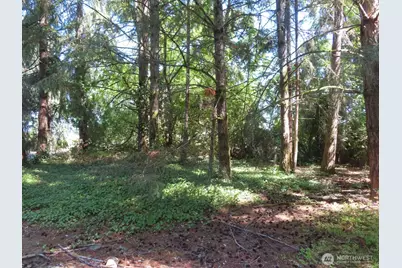 8021 Afflerbaugh Court SE, Lacey, WA 98503 - Photo 1