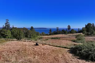 6065 McMaster Rd, Freeland, WA 98249 - Photo 37