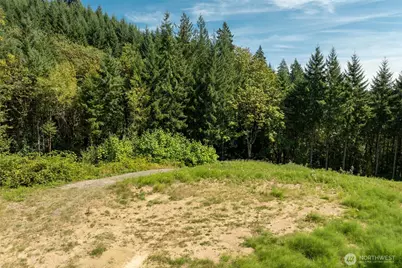239 Junco Lane, Woodland, WA 98674 - Photo 1