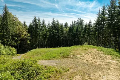 239 Junco Lane, Woodland, WA 98674 - Photo 13