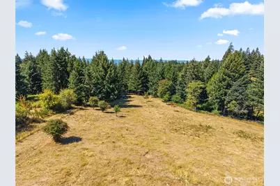 6215 Green Mountain Road, Woodland, WA 98674 - Photo 11