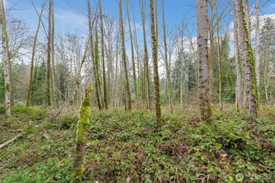 16 Xxx 76th Place NE, Kenmore, WA 98028 - Photo 3