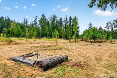 39611 62nd Avenue E, Eatonville, WA 98328 - Photo 35