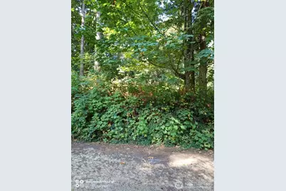 86 G Hat Place, Hat Island, WA 98206 - Photo 1