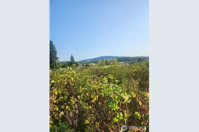421 Salal Place, Sequim, WA 98382 - Photo 7