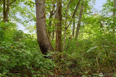 3327 Burley Road, Clinton, WA 98236 - Photo 13