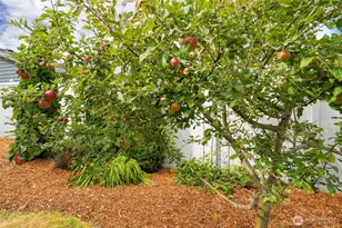 3912 W 4th St, Anacortes, WA 98221 - Photo 35