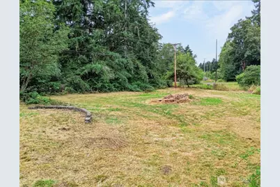 53 E Elma Hicklin Road, McCleary, WA 98557 - Photo 3