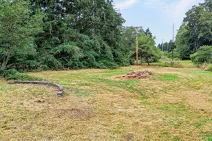 53 E Elma Hicklin Rd, McCleary, WA 98557 - Photo 3
