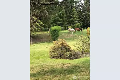 16631 Case Road SW, Rochester, WA 98579 - Photo 35