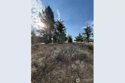 111 Off Log Camp Rd, Oroville, WA 98844 - Photo 11