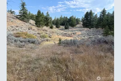 111 Off Log Camp Rd, Oroville, WA 98844 - Photo 9