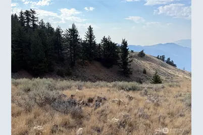 111 Off Log Camp Rd, Oroville, WA 98844 - Photo 7