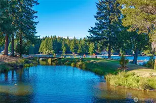 71 E Connemara Way, Shelton, WA 98584 - Photo 23