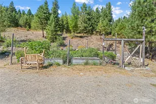 49 Lilly Creek Rd, Republic, WA 99166 - Photo 31