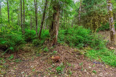 80 Salmon Creek Road, Naselle, WA 98626 - Photo 15