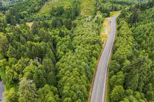 80 Salmon Creek Rd, Naselle, WA 98626 - Photo 1