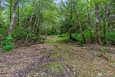 80 Salmon Creek Road, Naselle, WA 98626 - Photo 7