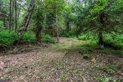 80 Salmon Creek Road, Naselle, WA 98626 - Photo 11