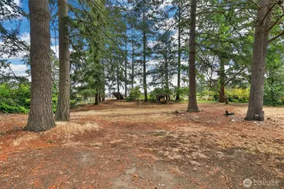 236 Kingham Street SE, Lacey, WA 98503 - Photo 31
