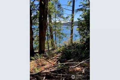440 W Cushman Ridge Drive, Hoodsport, WA 98548 - Photo 3