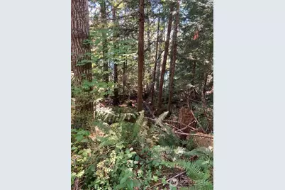 440 W Cushman Ridge Drive, Hoodsport, WA 98548 - Photo 7