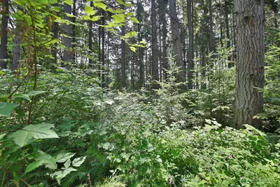 0 Xxx Hellman Road, Clinton, WA 98236 - Photo 25