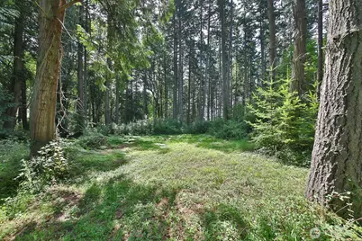 0 Xxx Hellman Road, Clinton, WA 98236 - Photo 27