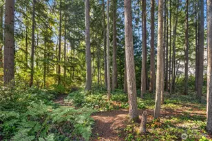 504 124th St SE, Everett, WA 98208 - Photo 19