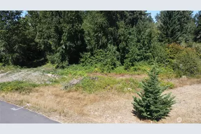 3009 342nd Street Ct S, Roy, WA 98580 - Photo 1