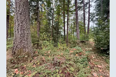 31719 41st Avenue E, Eatonville, WA 98328 - Photo 33