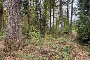 31719 41st Ave E, Eatonville, WA 98328 - Photo 33
