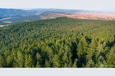 76 Lot Horse Heaven Road, Cle Elum, WA 98922 - Photo 15