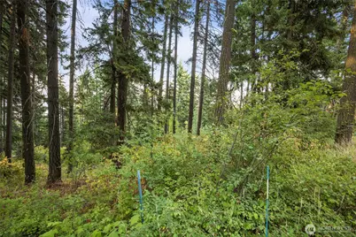 76 Lot Horse Heaven Road, Cle Elum, WA 98922 - Photo 3