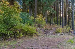 76 Lot Horse Heaven Rd, Cle Elum, WA 98922 - Photo 1