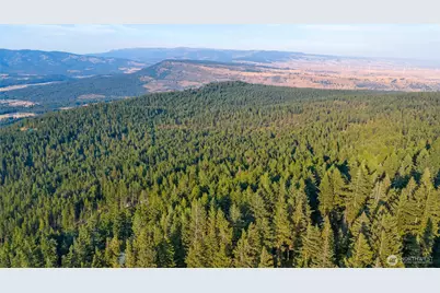 76 Lot Horse Heaven Road, Cle Elum, WA 98922 - Photo 13