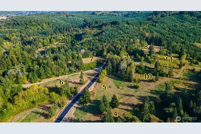 1824 Salzer Creek Drive, Centralia, WA 98531 - Photo 3
