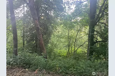 0 NE 179th Street, Woodinville, WA 98072 - Photo 3