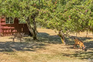 405 Italian Creek Rd, Kalama, WA 98625 - Photo 17