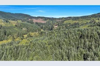 405 Italian Creek Road, Kalama, WA 98625 - Photo 35
