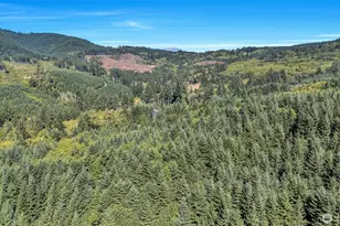 405 Italian Creek Rd, Kalama, WA 98625 - Photo 35